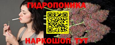 прущие грибы Конаково